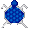 Download the Turtle